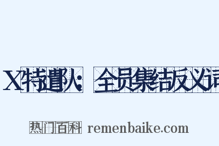 X特遣队：全员集结反义词是什么意思的图片